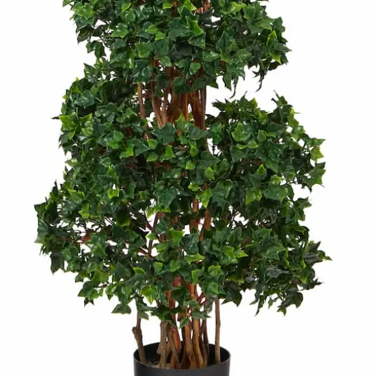 5.5ft. Potted English Ivy Spiral Topiary Tree {4}