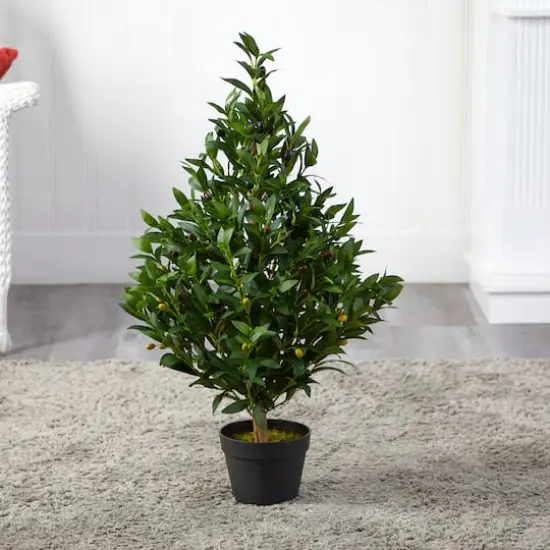 3ft. Potted Olive Cone Topiary Tree {5}
