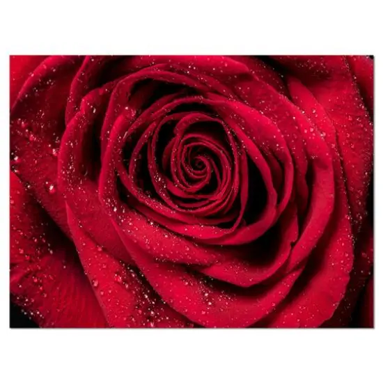 Designart - Red Rose Petals with Rain Droplets - Floral Art Canvas Print {1}