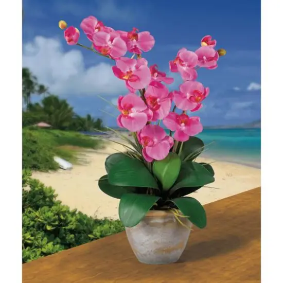 2ft. Double Moth Orchid Silk Flower Arrangement Dark Pink {3}