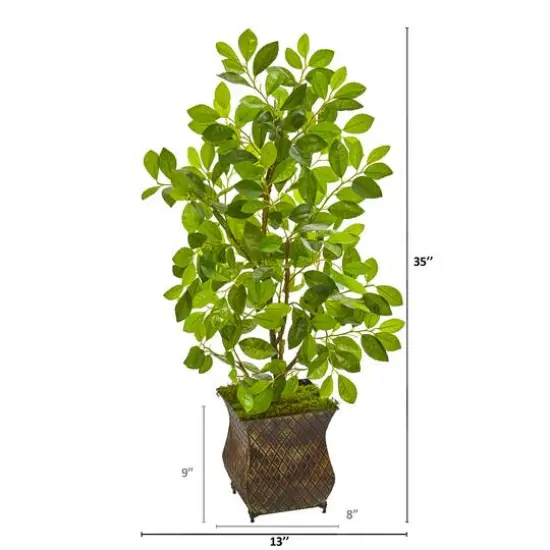 3ft. Ficus Tree in Metal Planter {3}