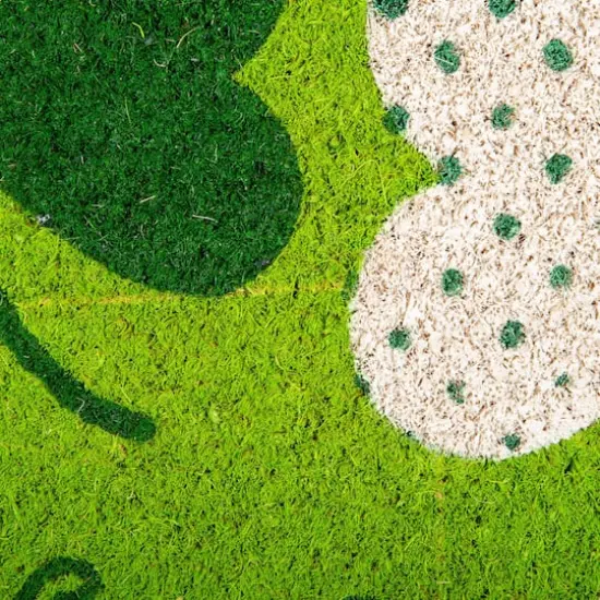 DII&reg; Top Of The Mornin' To Yah! Doormat {3}