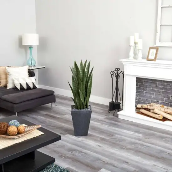 3.5ft. Snake Plant in Slate Planter {3}