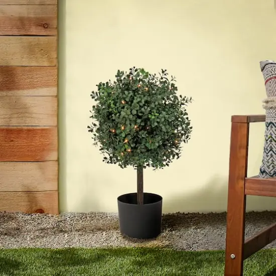 2ft. Pre-Lit Boxwood Single Ball Topiary in Nursery Pot {3}