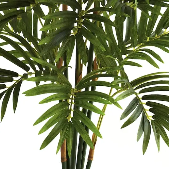 3ft. Potted Areca Palm Tree {4}