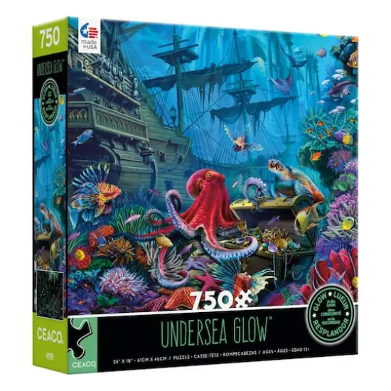 Assorted Deluxe 750 Piece Puzzle {5}