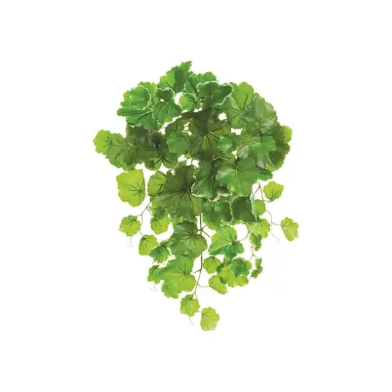 Geranium Leaf Bush {1}