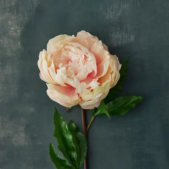 King Peony Stem By Ashland&reg; Peach {3}