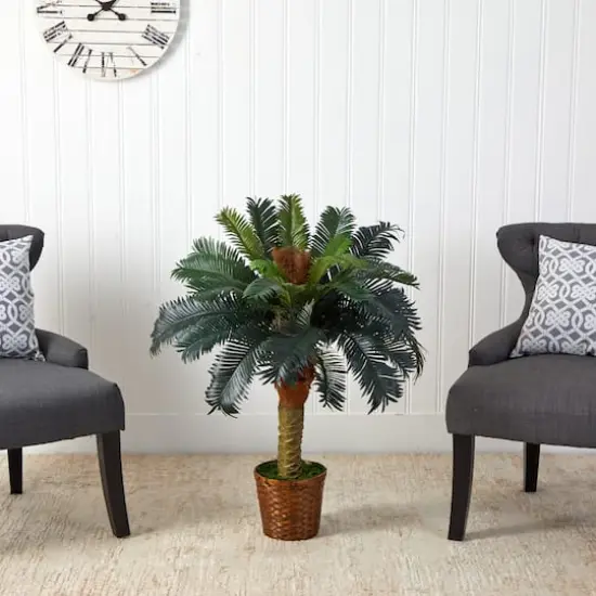 3ft. Sago Palm Tree in Woven Planter {4}