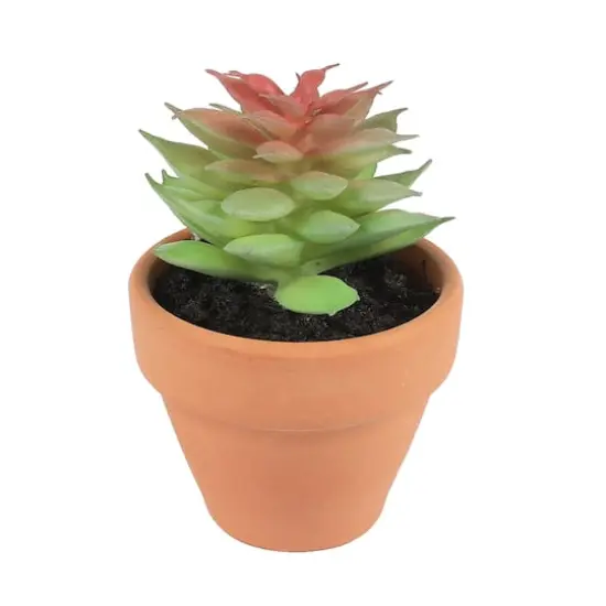 Mini Premade Succulents in Terra Cotta Pots, 6ct. by Ashland&reg; Light Green {7}