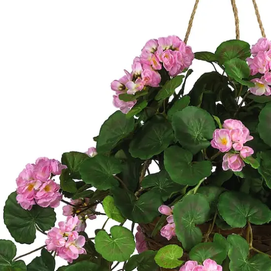 24" Pink Geranium in Hanging Basket {3}