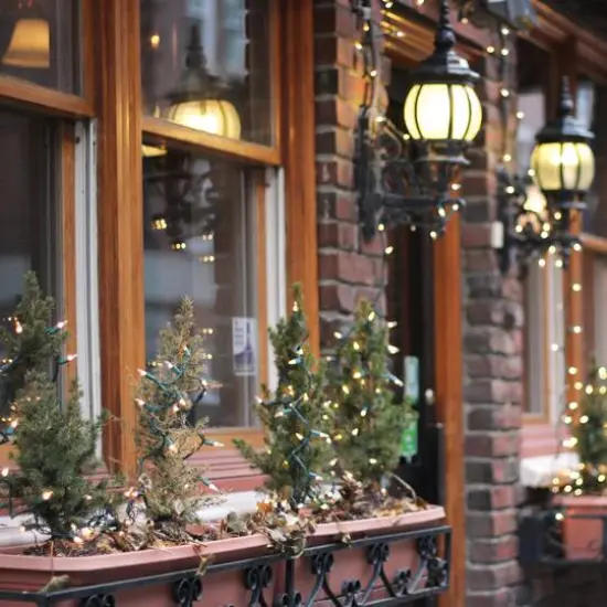 100ct. LED Mini Christmas Lights With Green Wire Warm White {7}