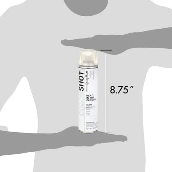 COLORSHOT&reg; Head In the Clouds Matte Spray Paint {7}