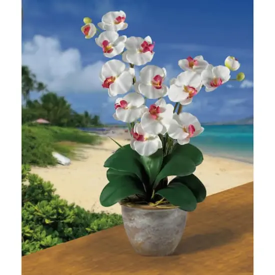 2ft. Double Moth Orchid Silk Flower Arrangement White {3}