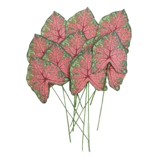 Green & Pink Paper Caladium Leaves by Recollections&trade; {1}