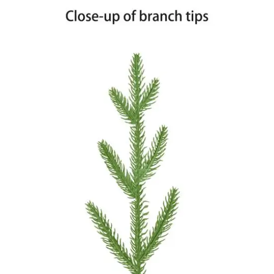 3ft. Pre-Lit Arctic Fir Artificial Potted Christmas Tree, Warm White LED Lights {6}