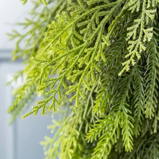 Glitzhome&reg; 31.5"H Christmas Greenery PE Teardrop with Pinecones and Red Berries {6}