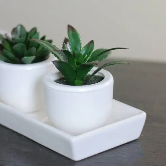 3.5" Artificial Succulent Planter with White Pot {3}