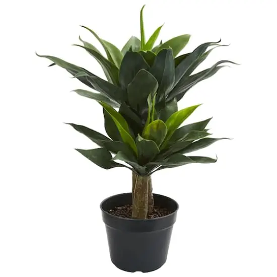 2.4ft. Potted Double Agave Succulent Artificial Plant  {1}