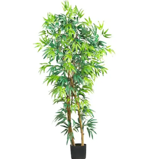 5ft. Potted Curved Bamboo Tree {1}