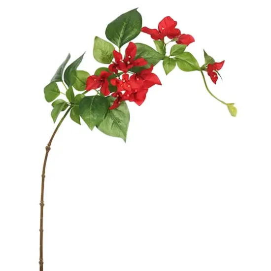 Red Bougainvillea Stem, 3ct. {1}