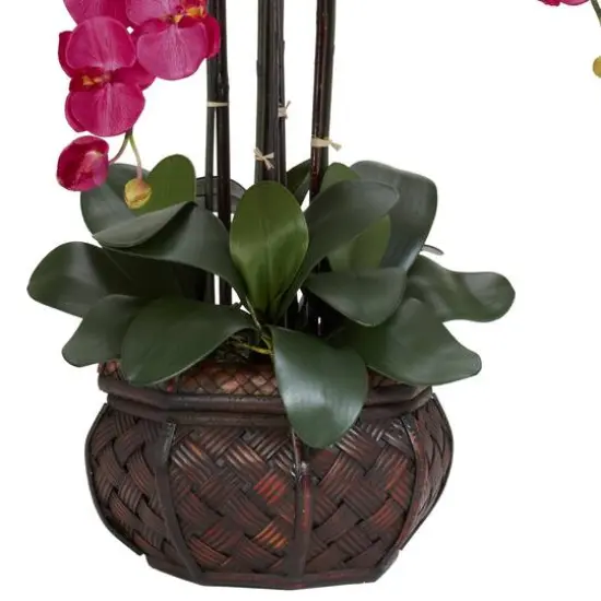 2.5ft. Pink Moth Orchid Arrangement with Decorative Vase {6}