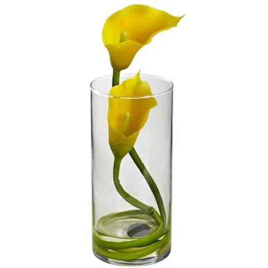 10.5" Yellow Double Calla Lily with Cylinder Vase, 2ct. {3}