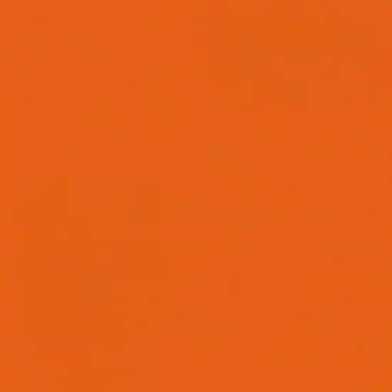 Rust-Oleum&reg; Painter's Touch&reg; 2X Ultra Cover&reg; Gloss Spray Paint Real Orange {4}