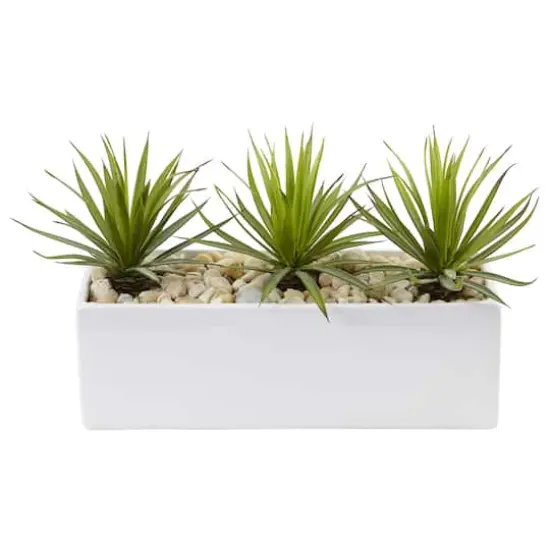 8" Mini Agaves in Rectangular Ceramic Planter {1}