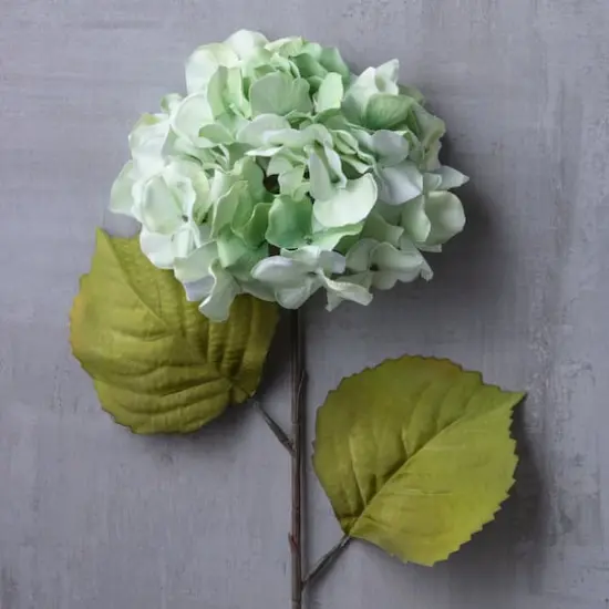 Seafoam Green Hydrangea Stem by Ashland&reg; {3}