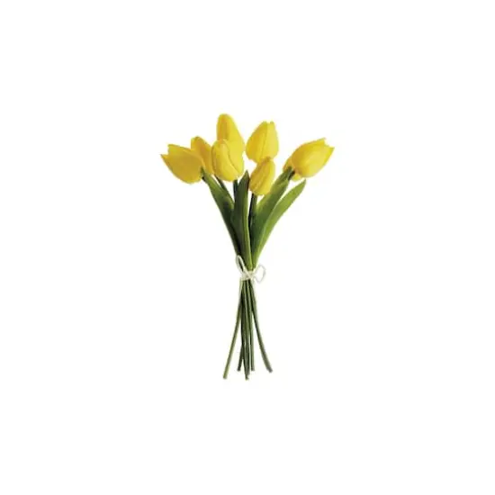 Soft Touch Yellow Tulip Bundle {1}