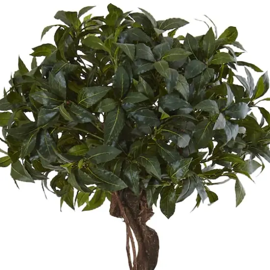4.5ft. Sweet Bay Double Topiary Tree in Farmhouse Planter {3}