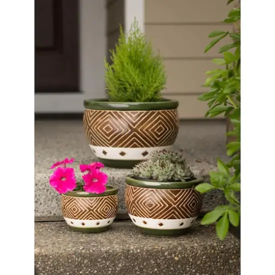 Green Jade Planter Set {7}