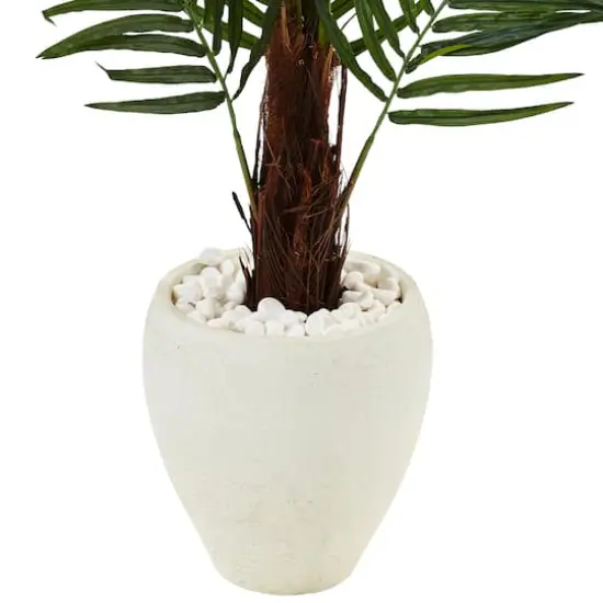 4.5ft. Areca Palm Tree in White Oval Planter {4}