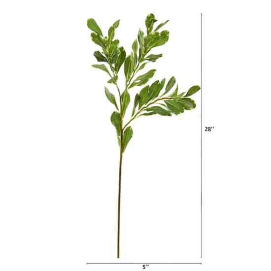 28" Variegated Salal Artificial Spray (Set of 4) {3}