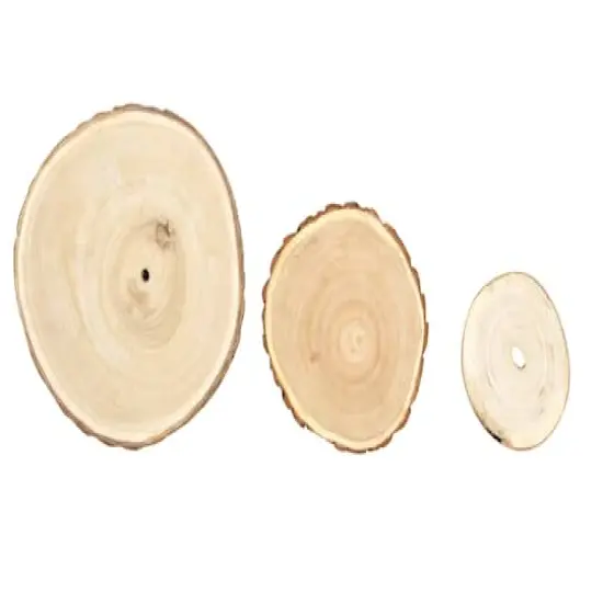 Hello Honey&reg; 13" Large Round Paulownia Wood Slice {4}