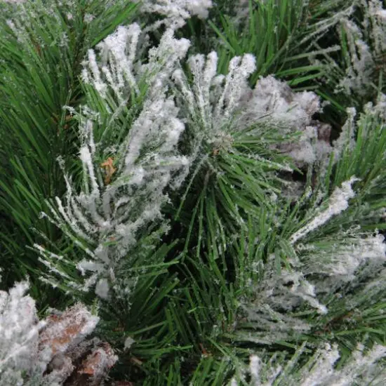 36" Snowy Flocked Angel Pine with Pinecones Artificial Christmas Wreath {4}