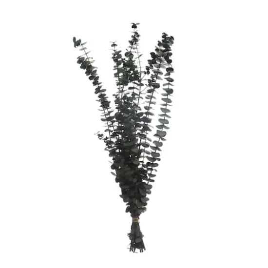 Dark Green Dried Eucalyptus Bundle by Ashland&reg; {1}