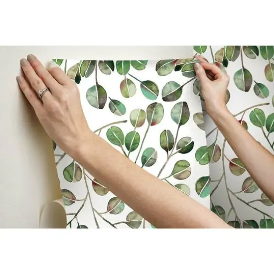 RoomMates Cat Coquillette Eucalyptus Peel & Stick Wallpaper Green and White {11}