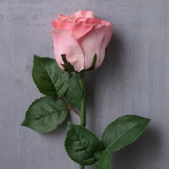 Faux Rose by Ashland&reg; Light Pink {3}