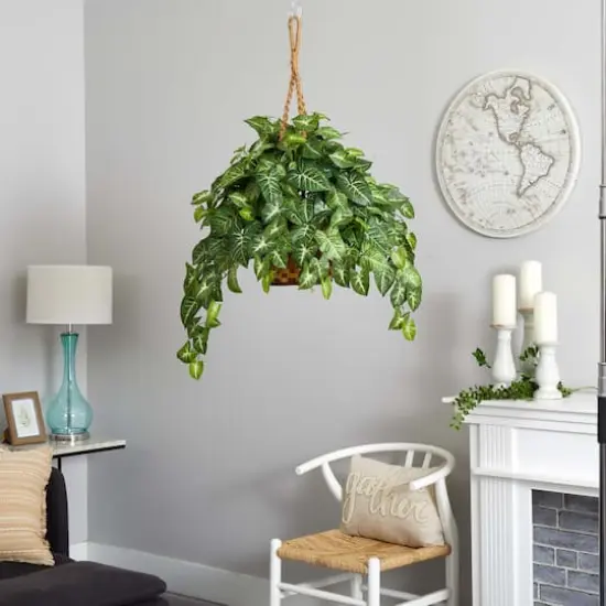 2ft. Arrowhead Plant Hanging Basket {3}