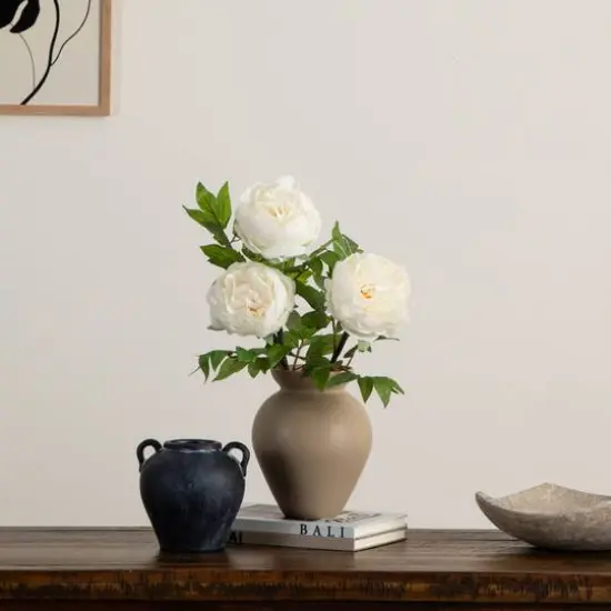 20" White Peony Flower Stems, 3ct. {3}