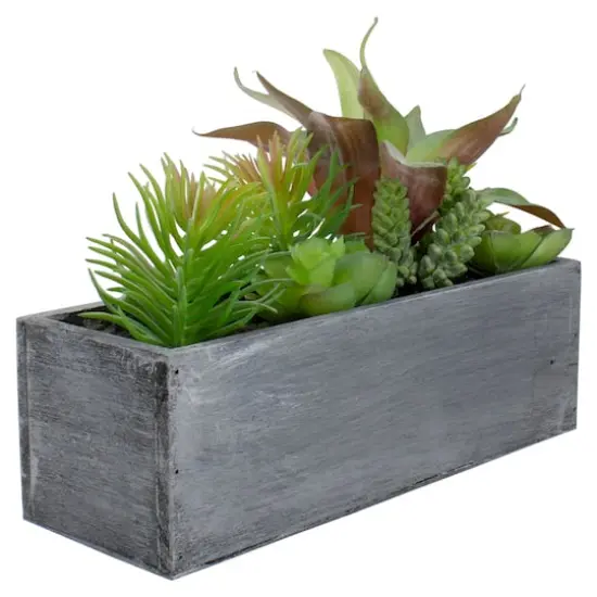 12" Mixed Succulent Plants in Rectangular Planter {4}