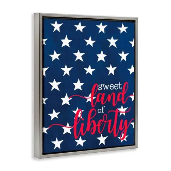 Stupell Industries Sweet Land Of Liberty Americana Floater Framed Art Gray {4}