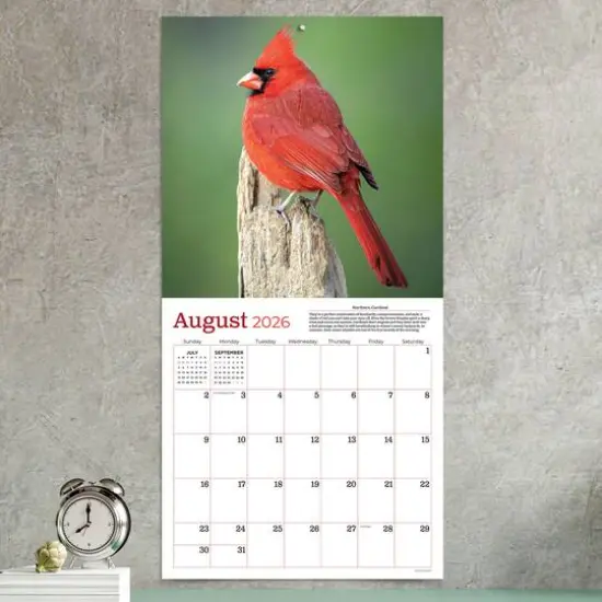 2026 Backyard Birds Wall Calendar {4}