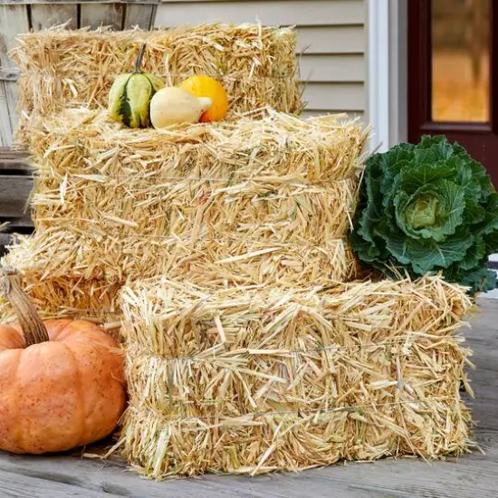 FloraCraft&reg; 20" Straw Bale {6}