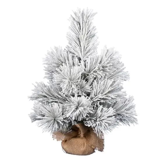 24" Unlit Frosted Beckett Pine Artificial Christmas Tree {1}