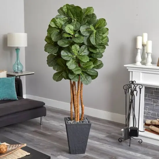 5.5ft. Fiddle Leaf Tree in Slate Planter {3}