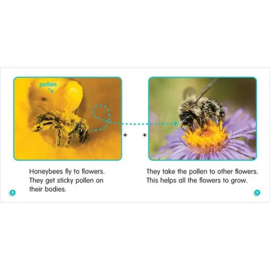 Scholastic Teaching Resources Guided Science Readers Levels E-F Parent Pack Book Set, 12ct. {6}