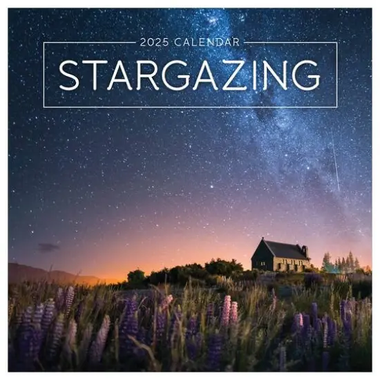 TF Publishing 2025 Stargazing Wall Calendar {1}
